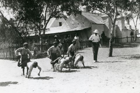 Children’s novelty wheelbarrow race, 1930.