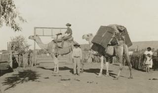 Ted Strehlow. First journey to Barrow Cree