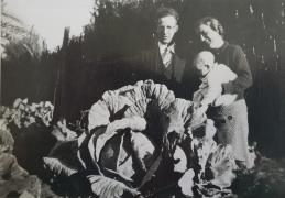 The Latz family and their Giant cabbages in Mission garden.