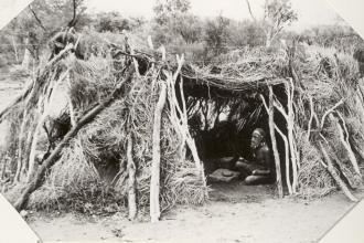 Aboriginal wurley-traditional hut