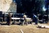 Cutting desert oak for the building of the tannery